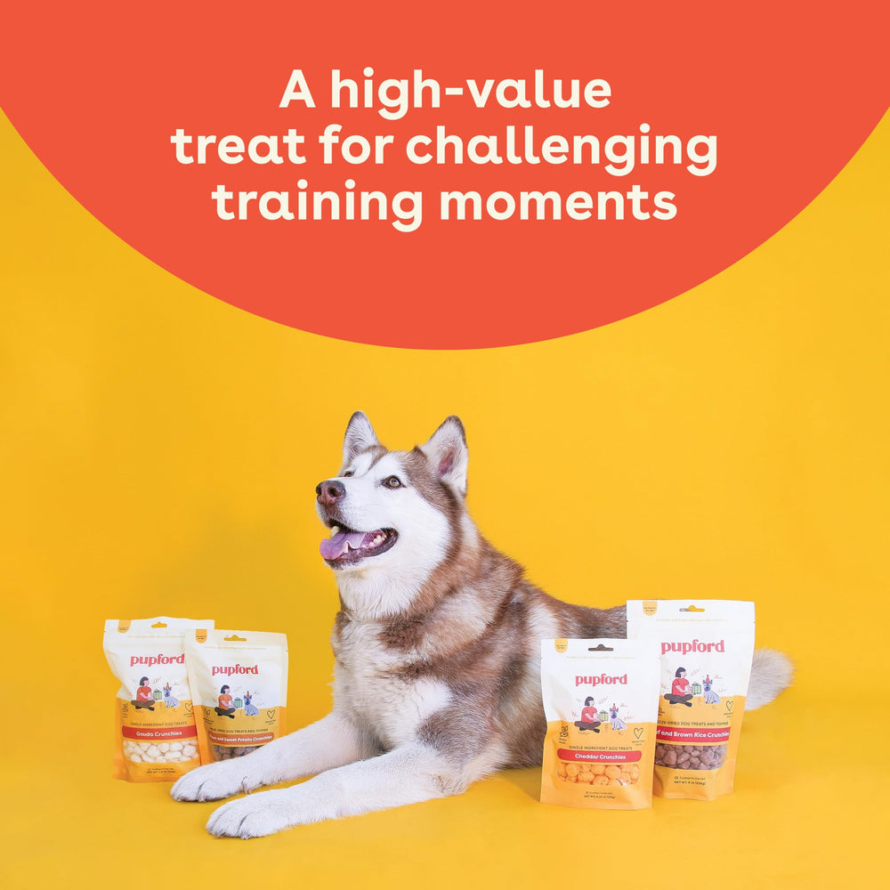 Pupford Crunchies puppy-friendly option suitable for dogs of all sizes.