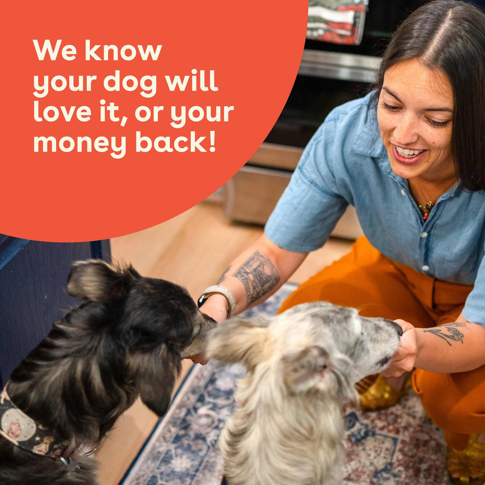 Pupford Crunchies serving-dish shows a ready-to-serve treat for pups.