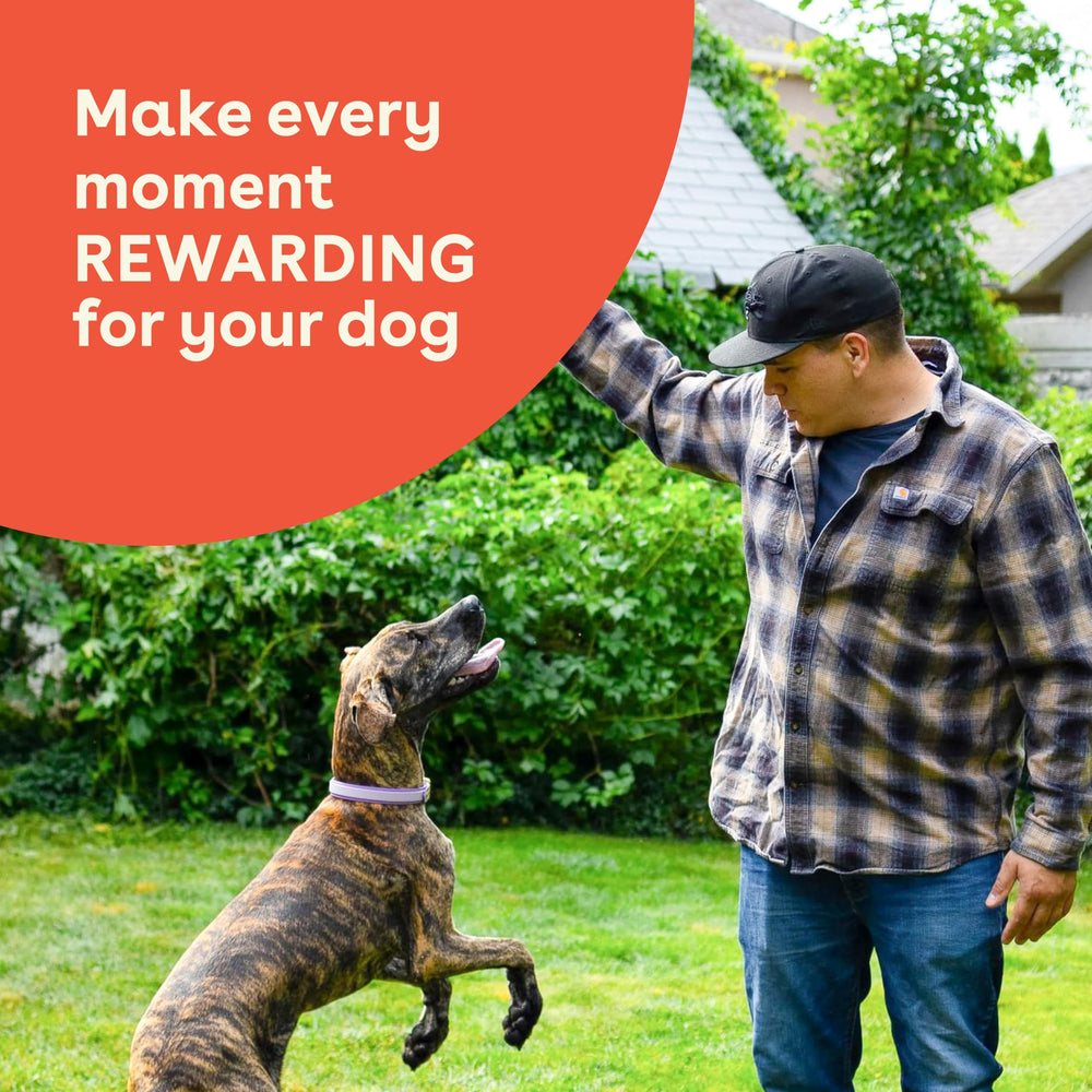 Pupford Crunchies uso diario, premio práctico para perros activos.