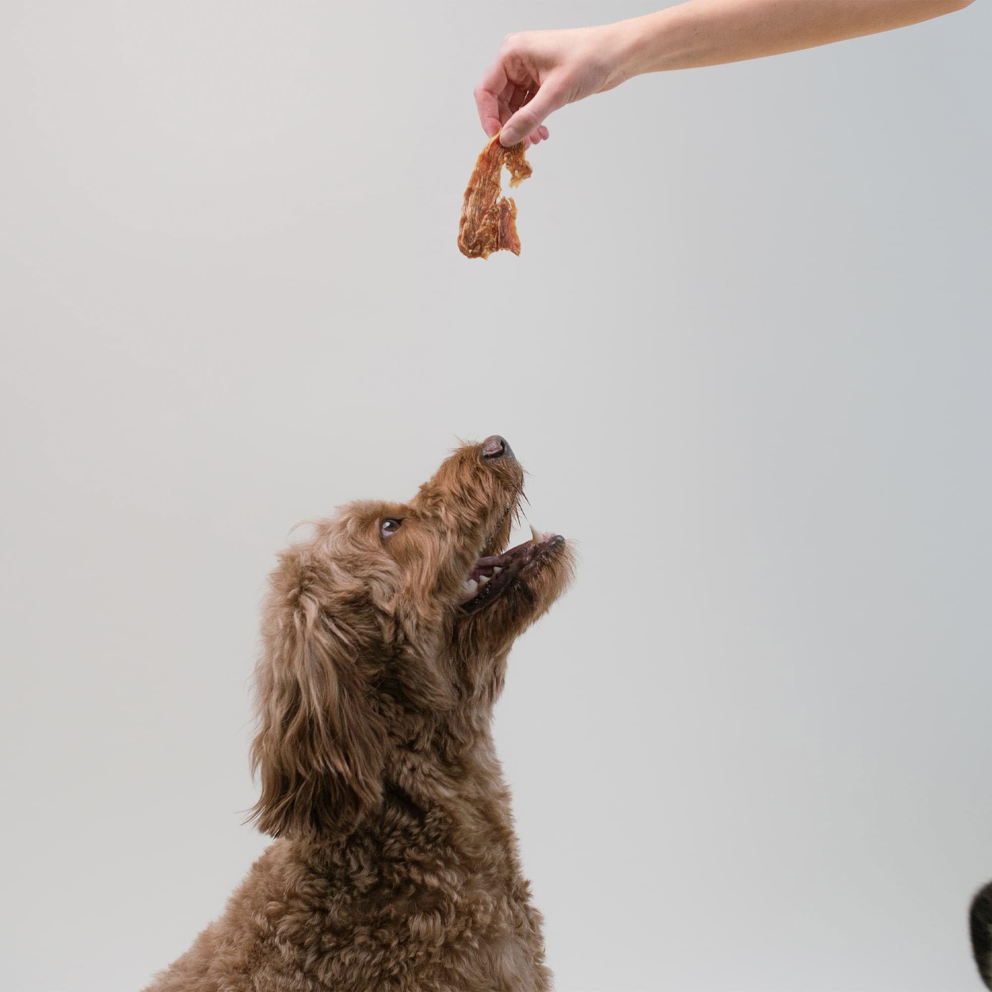 Pupford Crunchy Jerky breakable pieces shown for portions