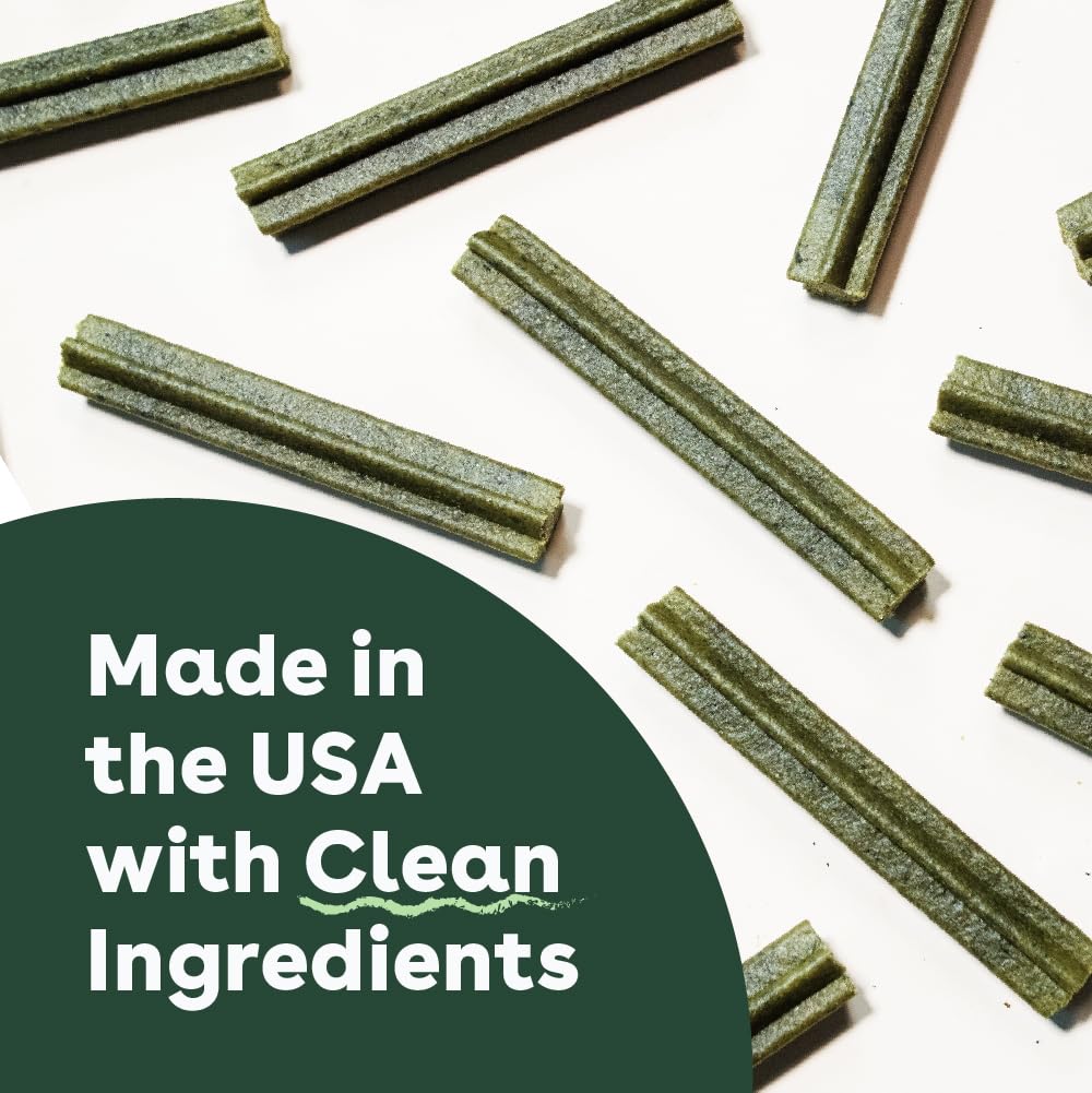 Pupford Dental Chews daily-use size shows ideal 4-inch stick for routine.