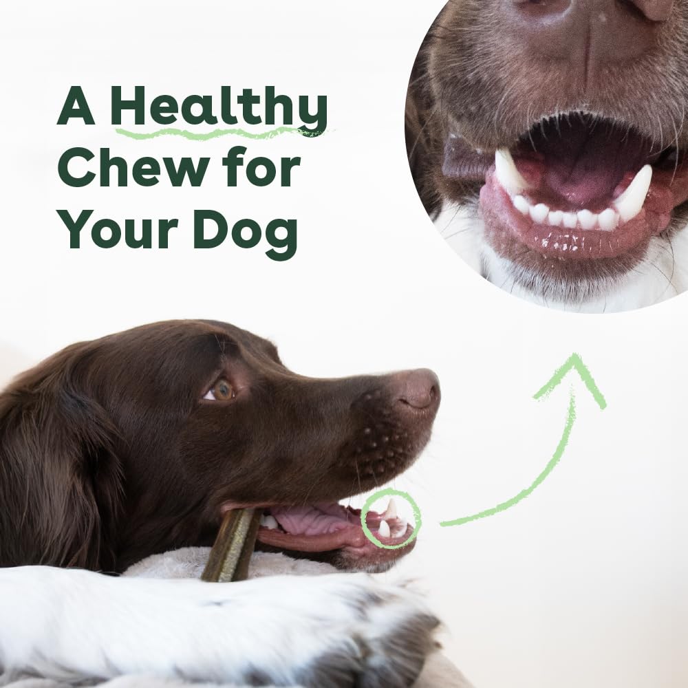Pupford Dental Chews easily digestible formula close-up hints at gentle digestion.