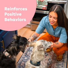 Pupford Freeze Dried Training Treats pocket-size bag for on-the-go training sessions.