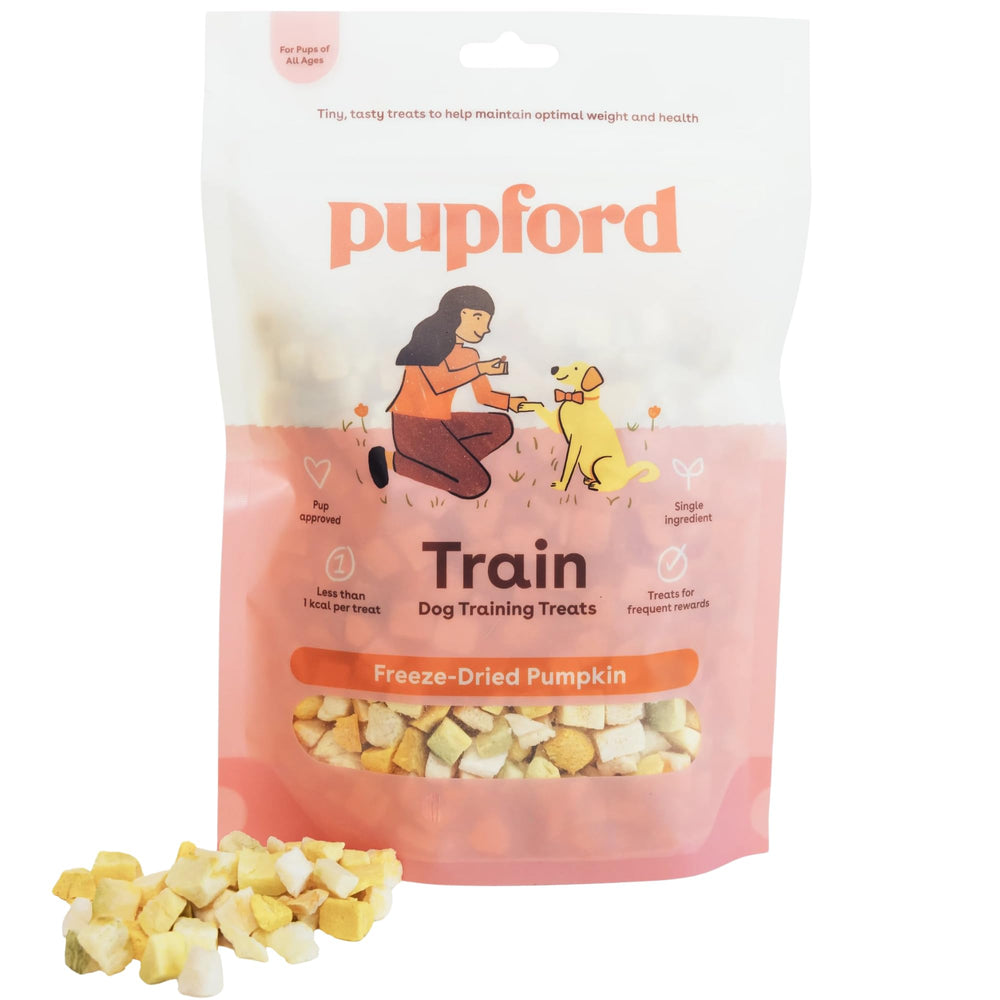 Pupford Freeze Dried Training Treats pumpkin front view, quick training rewards.