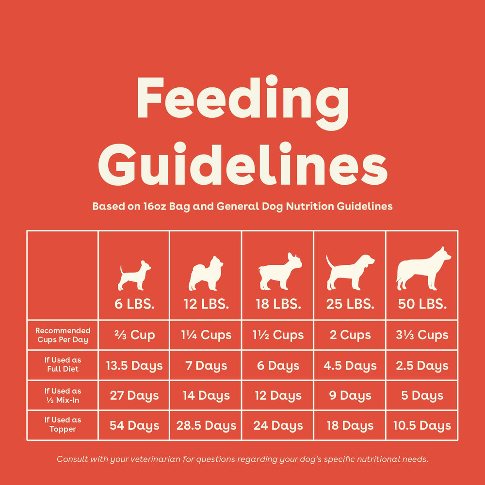 Pupford Good Dog Food 16 oz packaging showcases portable, storage-friendly design.