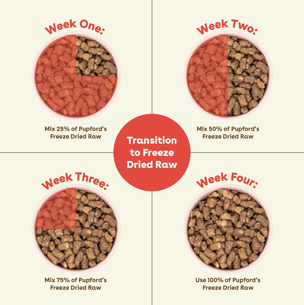 Pupford Good Dog Food serving in bowl illustrates easy portioning for daily meals.