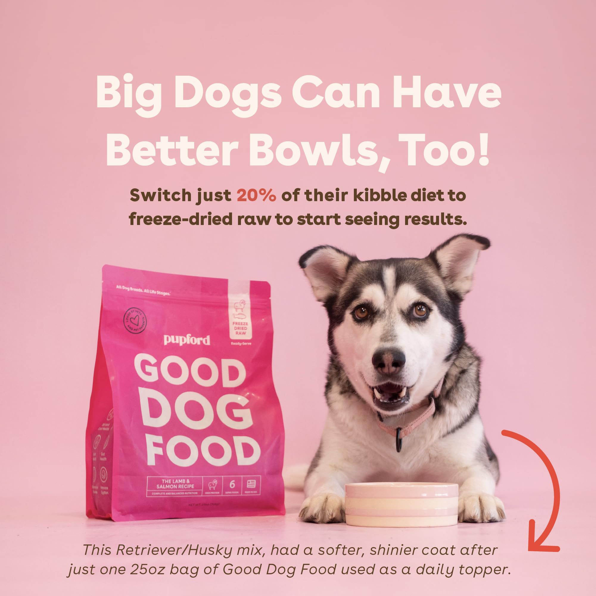 Pupford Good Dog Food superfood ingredients image highlights nutrient-rich blend for vitality.