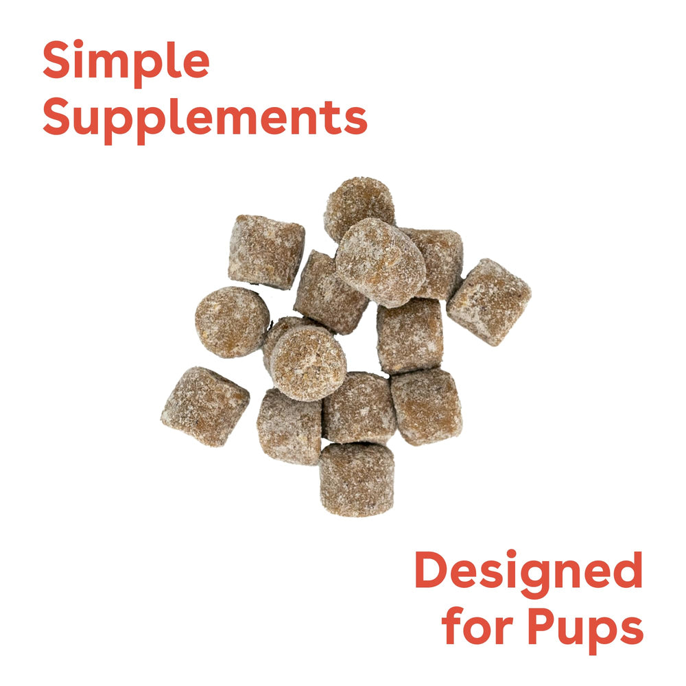 Pupford chews jar closeup showcases peanut butter and jelly flavor.