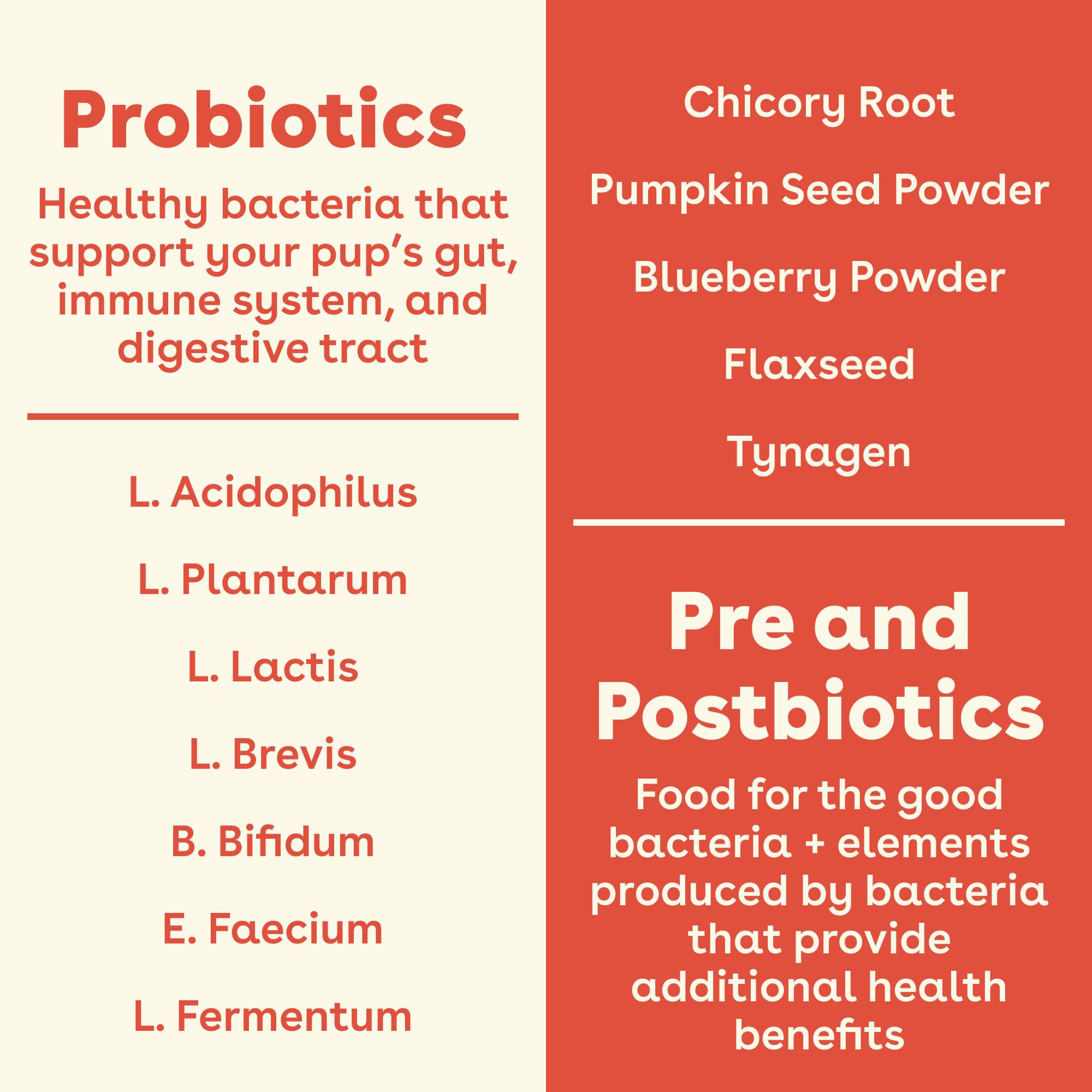 Pumpkin ingredient highlight indicates vitamins supporting digestion.