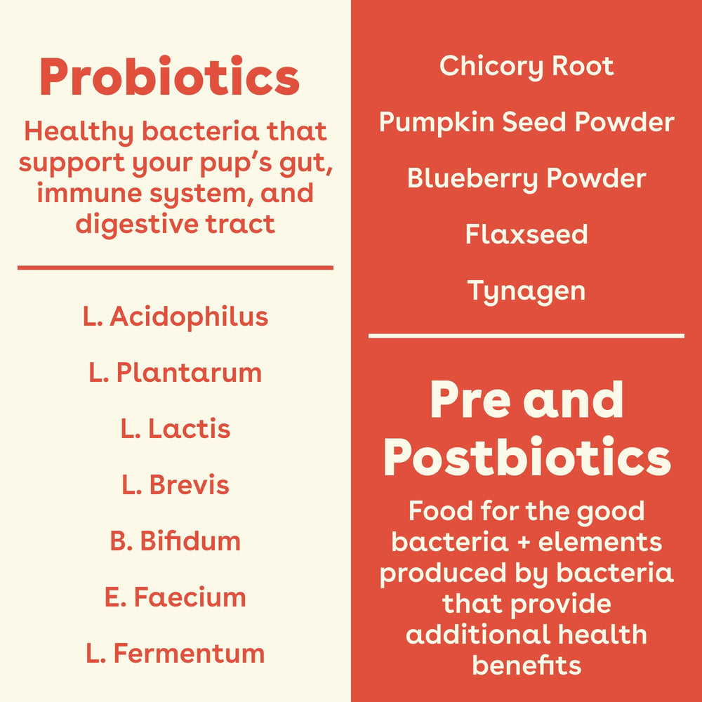 Pumpkin ingredient highlight indicates vitamins supporting digestion.