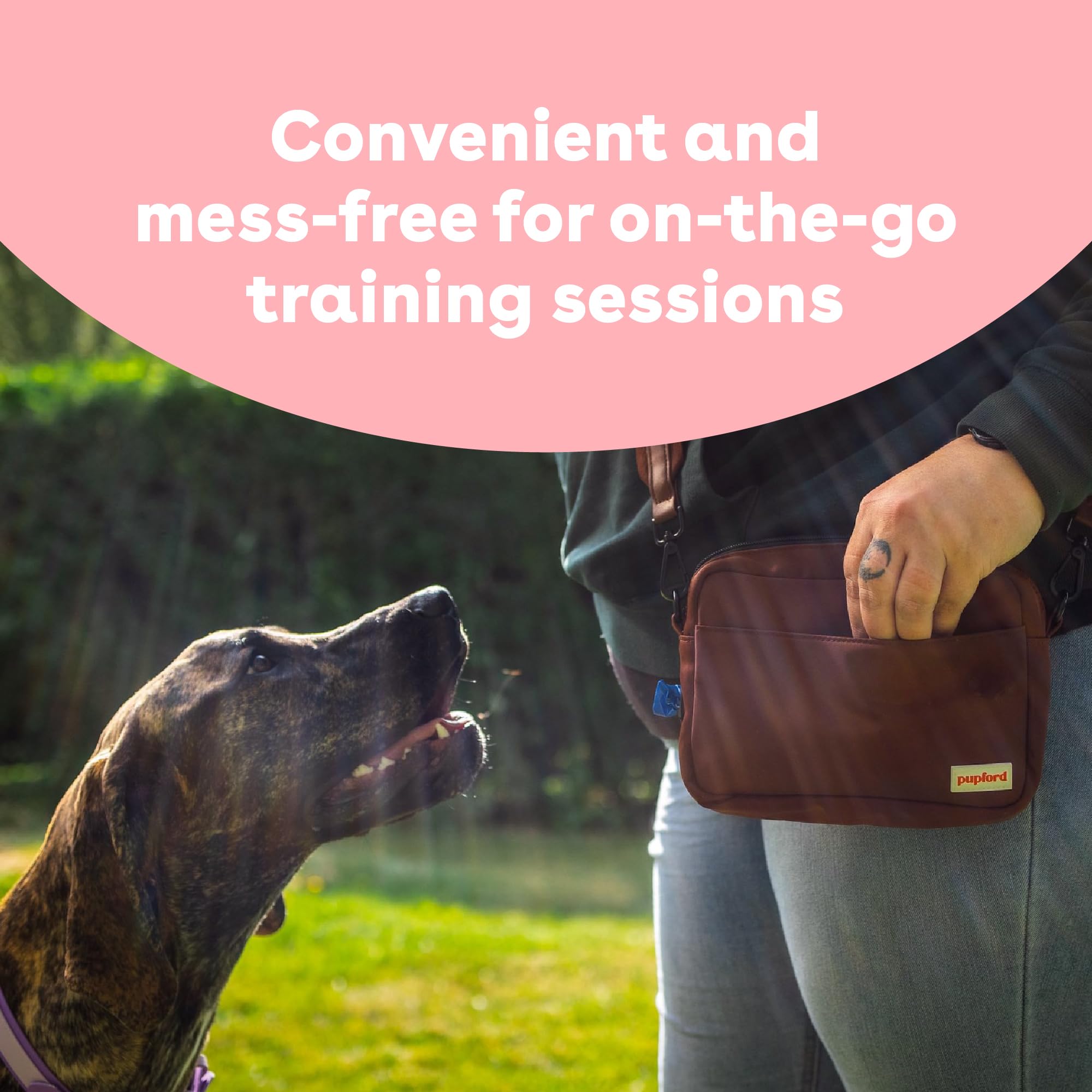 Pupford mess-free treats in pocket-sized package for walks and classes