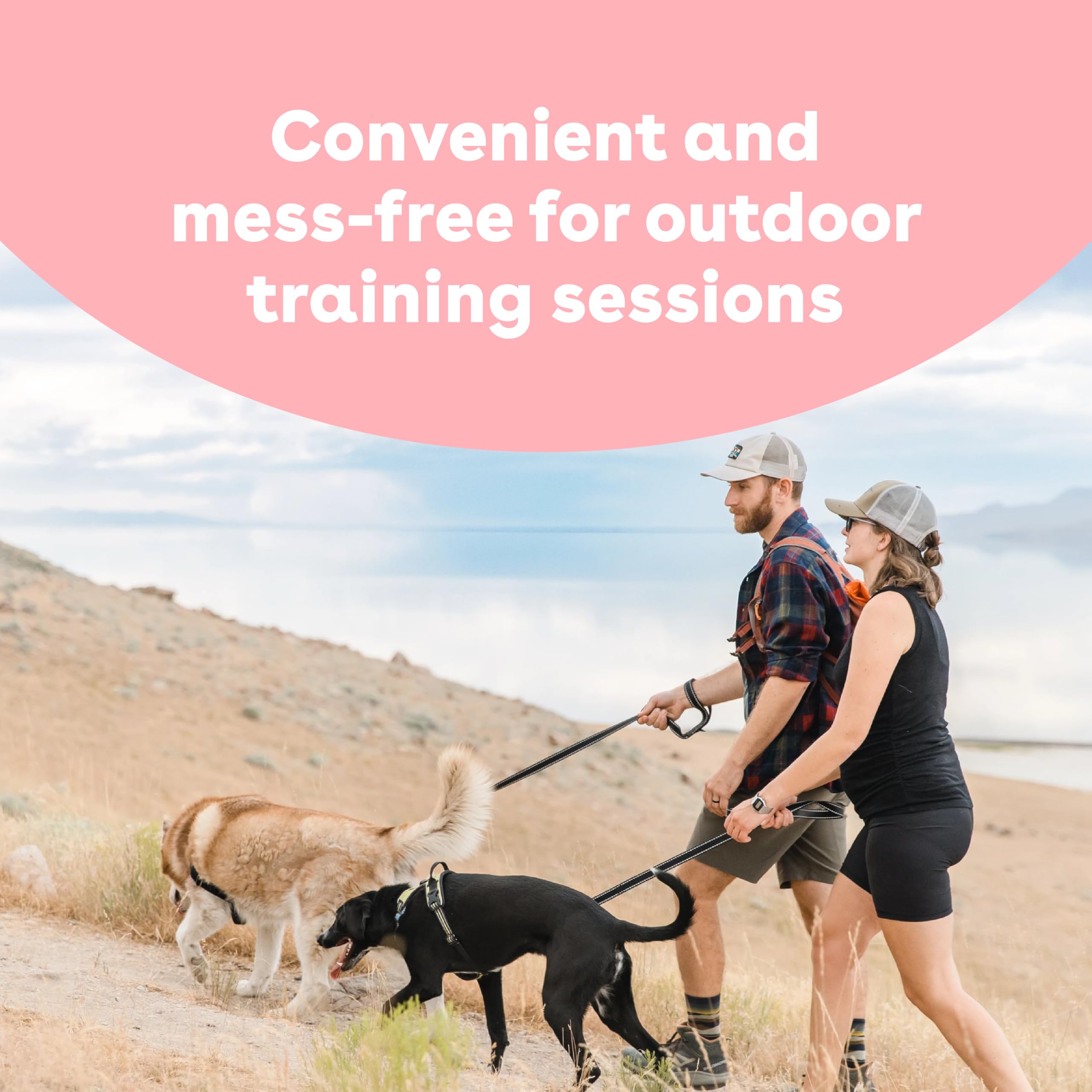 Pupford mess-free treats held in hand, pocket-friendly for on-the-go rewards