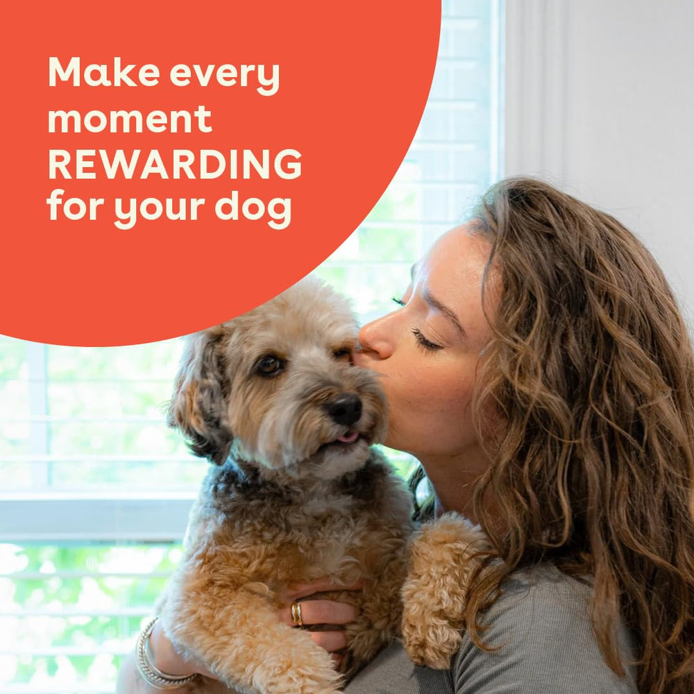 Pupford Minnows dog eating snack captures natural reward during adventures.