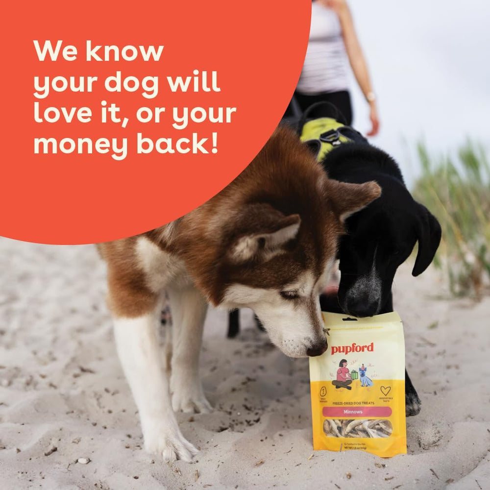 Pupford Minnows freeze-dried process highlights nutrient and flavor preservation.