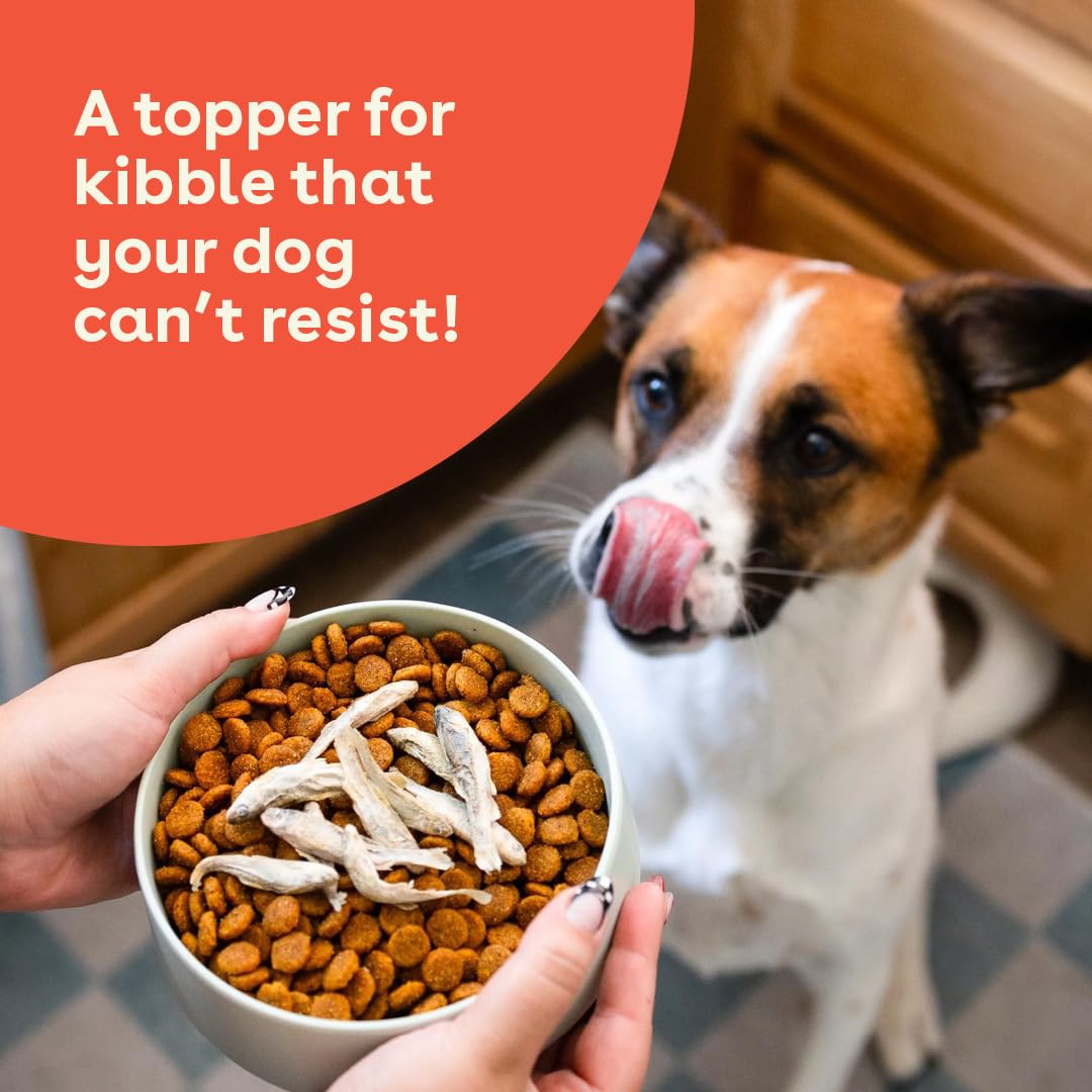 Pupford Minnows snack-time moment shows dogs enjoying a healthy, high-protein treat.