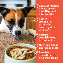 Pupford Minnows training reward piece demonstrates quick, mess-free motivation.