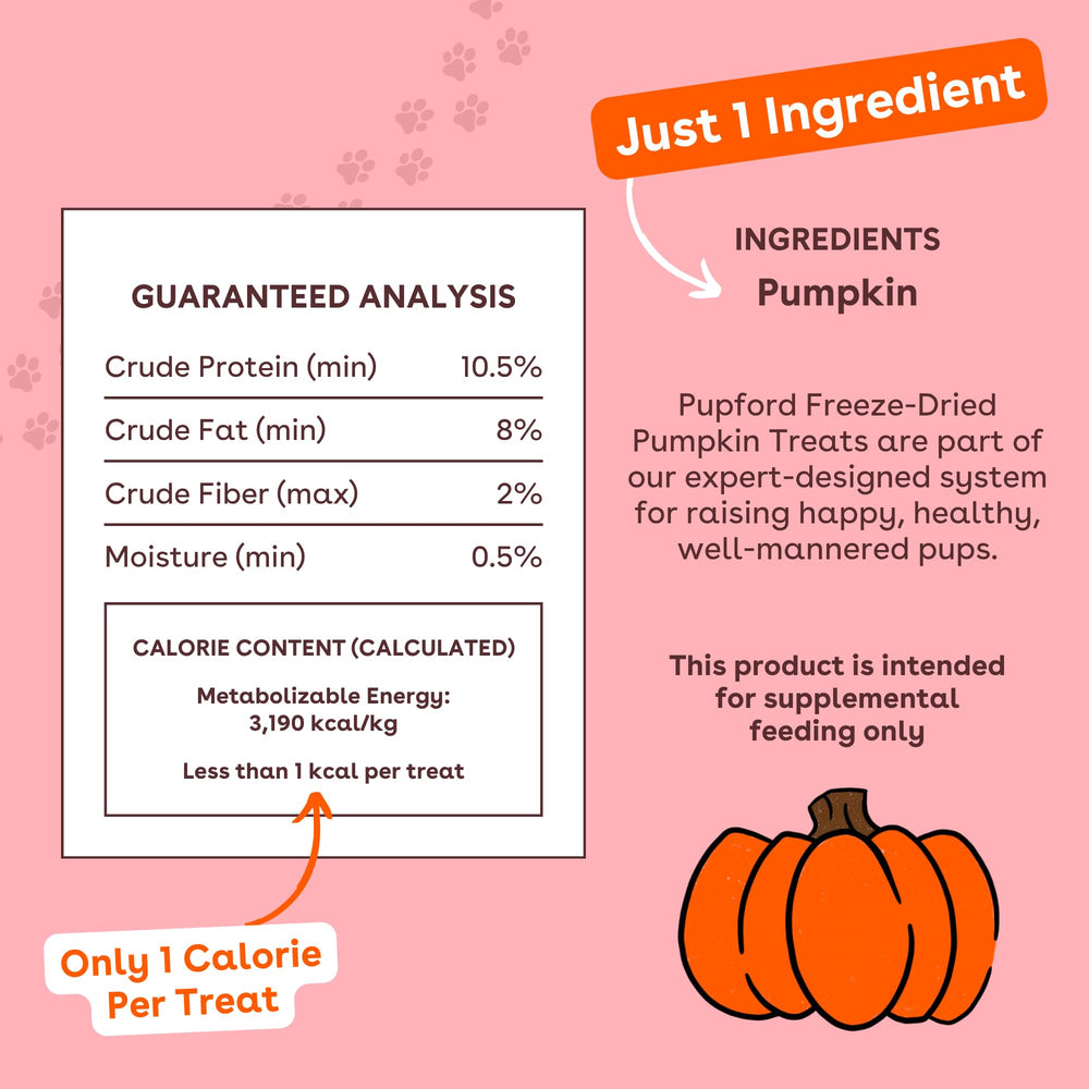 Pupford one-ingredient pumpkin dog treat close-up highlighting natural ingredient.