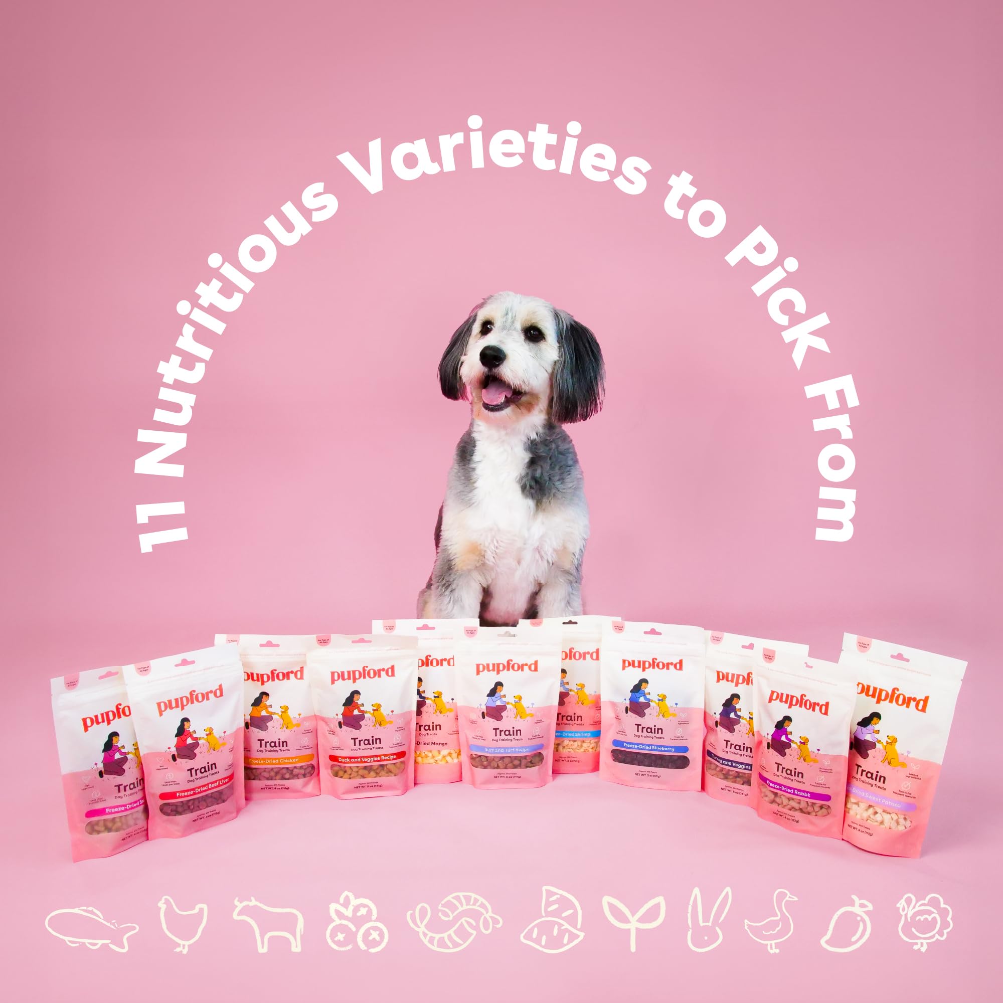Ideal para perros y cachorros activos durante la vida diaria.