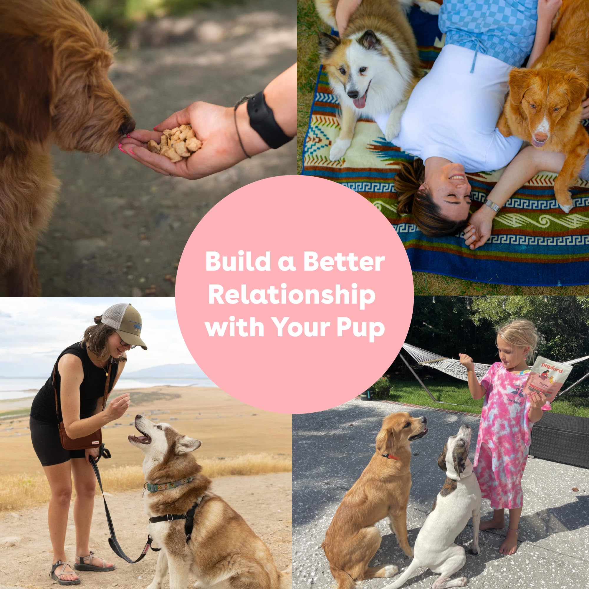 Pupford pocket-friendly training bites