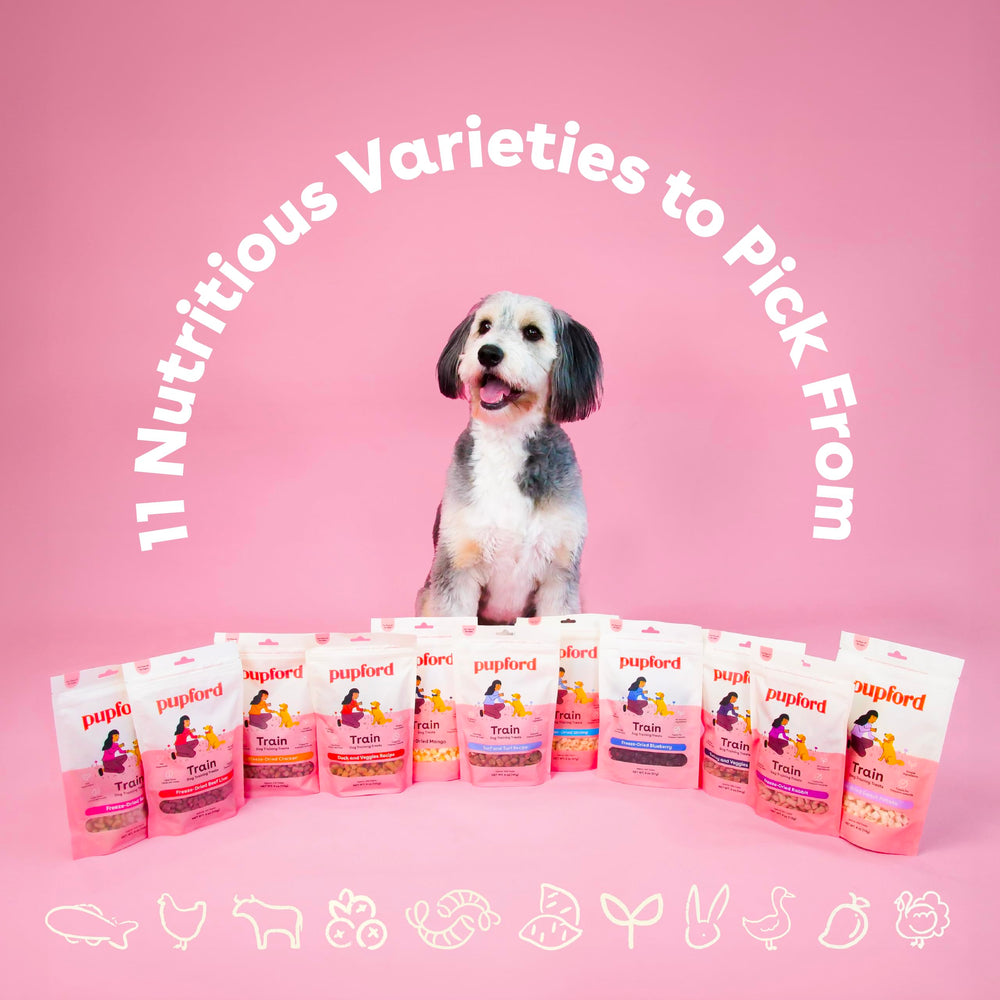 Pupford pack completo, tres paquetes para entrenar en casa.