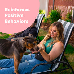 Pupford small lightweight training treats ideal for on-the-go training