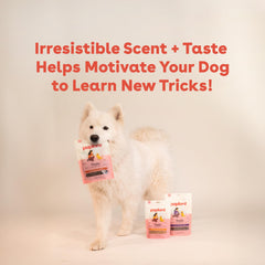 Pupford soft texture training reward supports quick, responsive pet behavior.