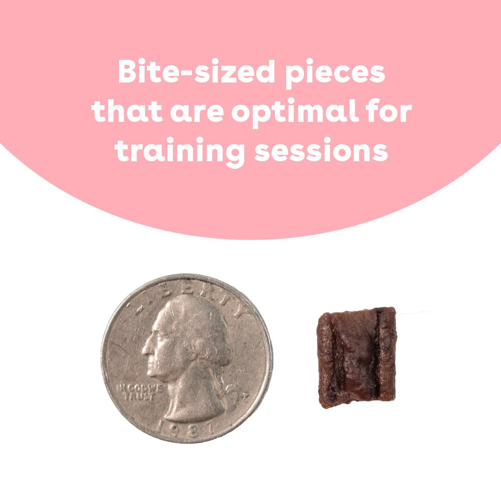 Pupford Soft & Chewy Training Treats pork 10oz label emphasizes USA-made quality and natural ingredients.