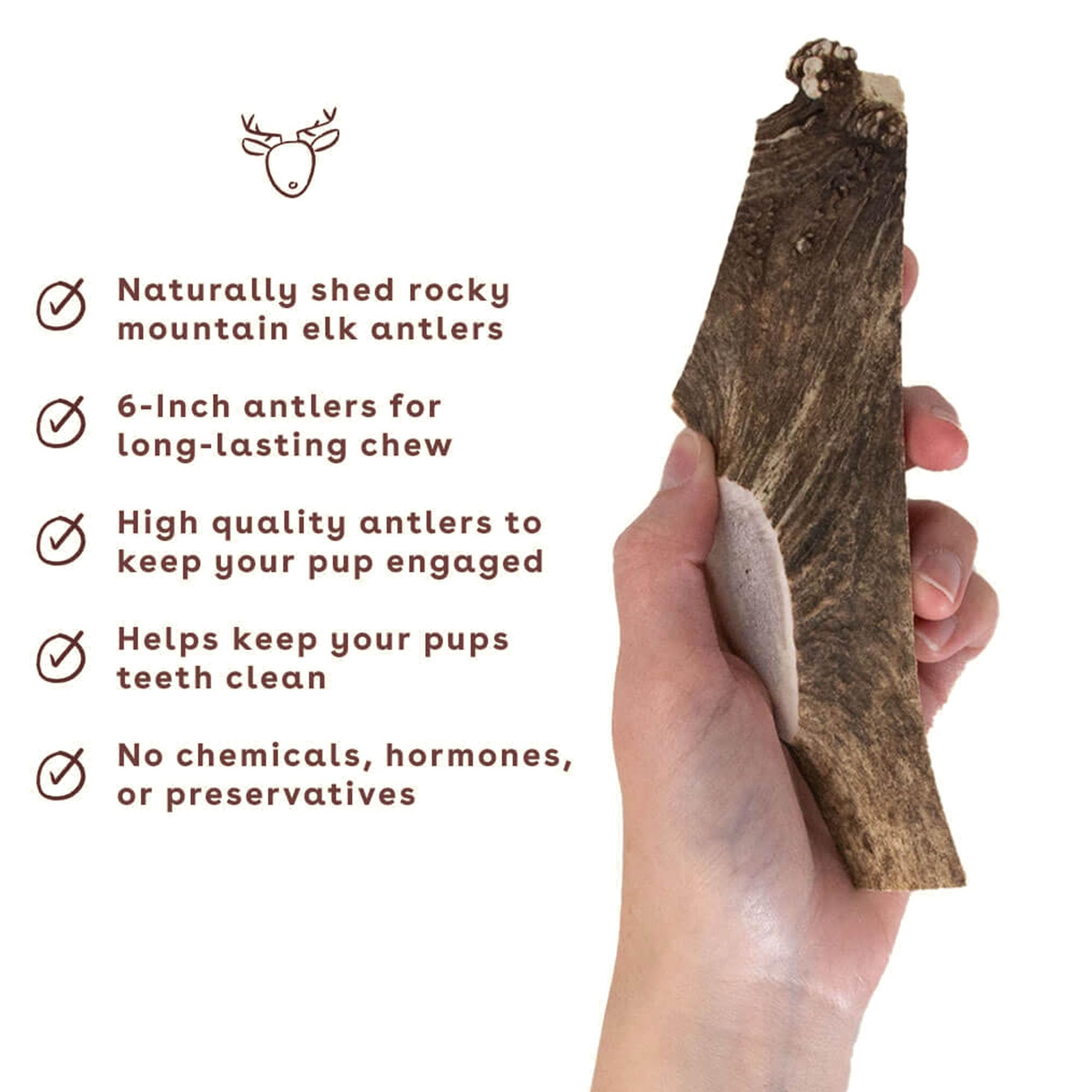 Pupford split elk antlers length-5-8-inches shows size variety for most dogs.