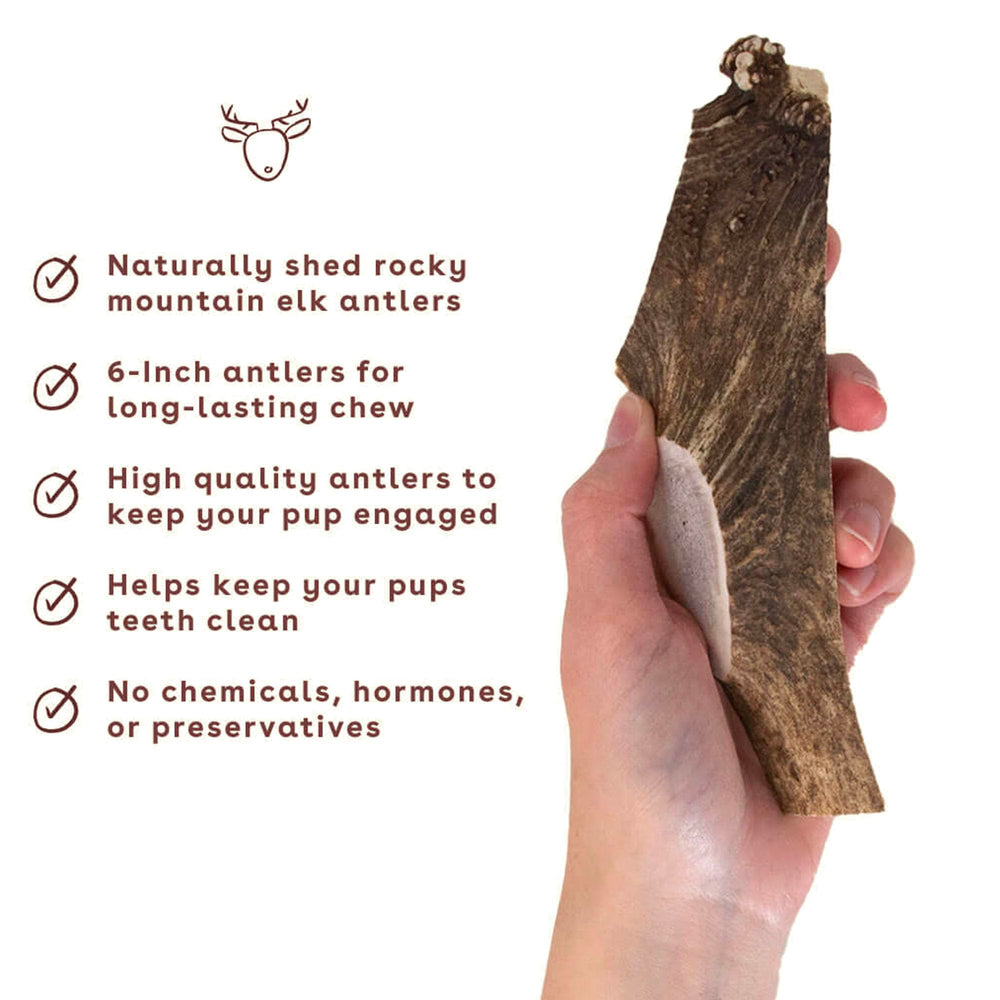 Pupford split elk antlers length-5-8-inches shows size variety for most dogs.