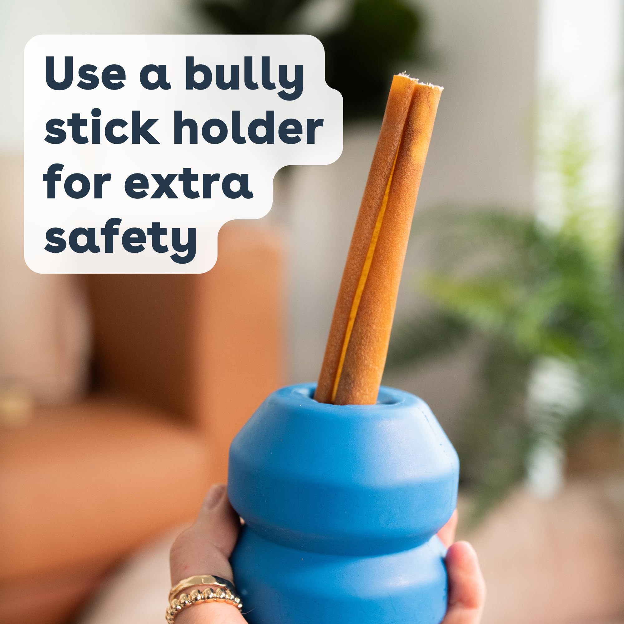 Pupford Thick Bully Sticks healthy chew alternative for redirection.