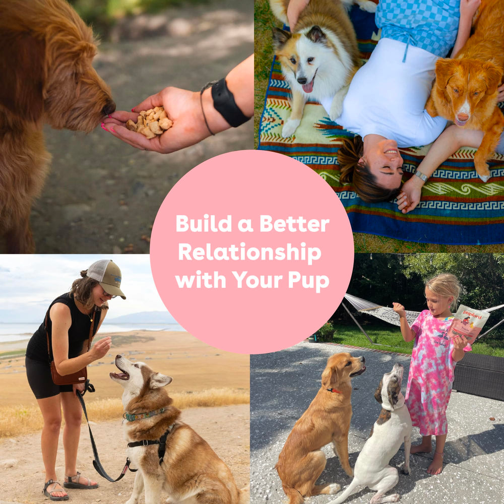 Pupford training reward session with bite-sized salmon snacks for dogs