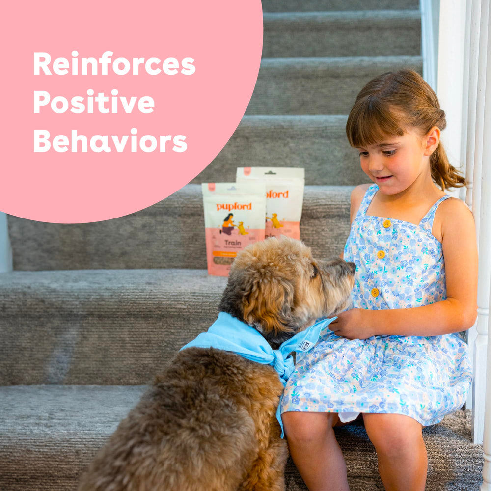 Pupford training session showing dog reward-ready treats