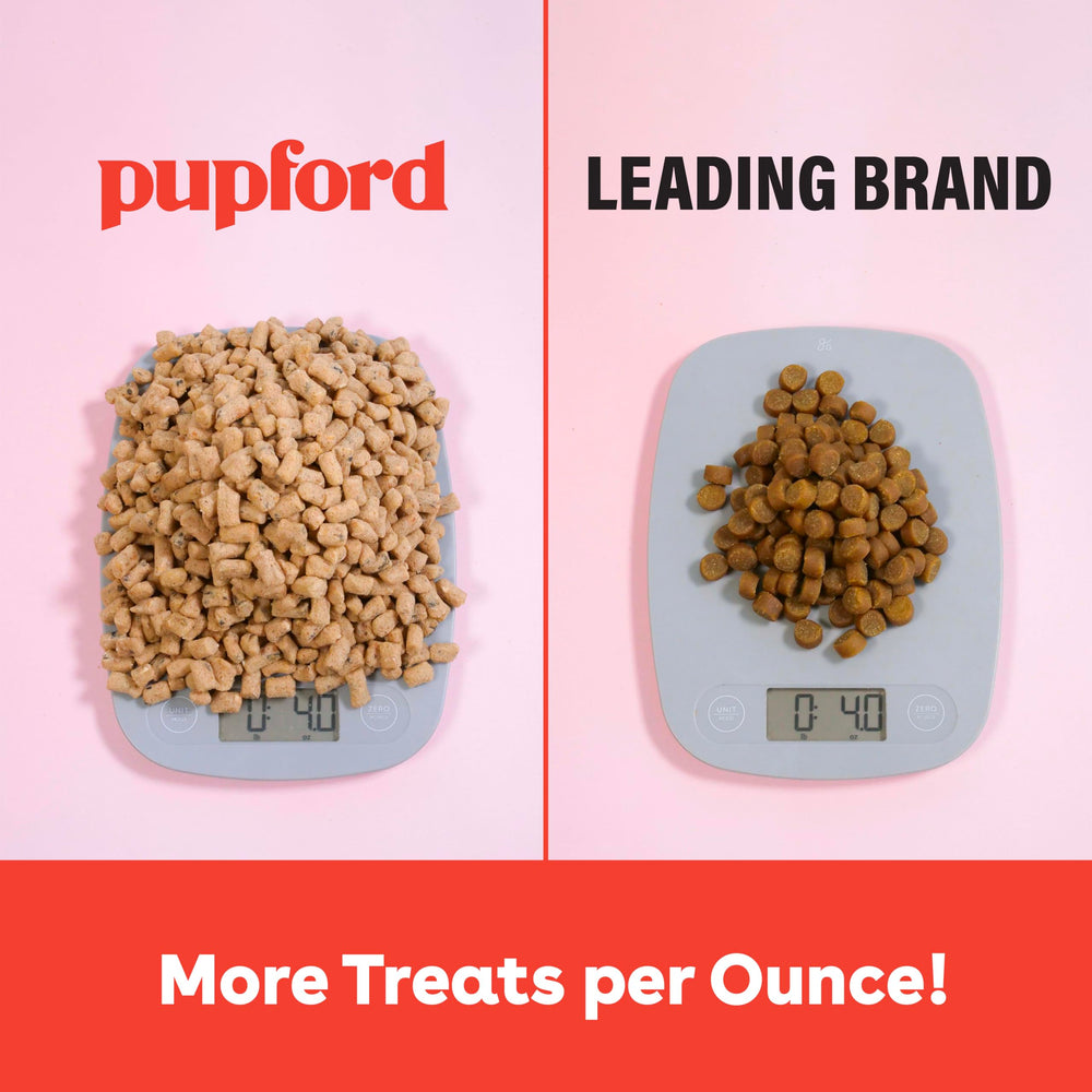 Pupford training-session rewards shown with easy-to-use bites.