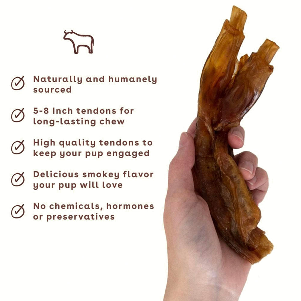 Pupford Turbo Beef Tendon Chews being chewed by a puppy during training rewards.