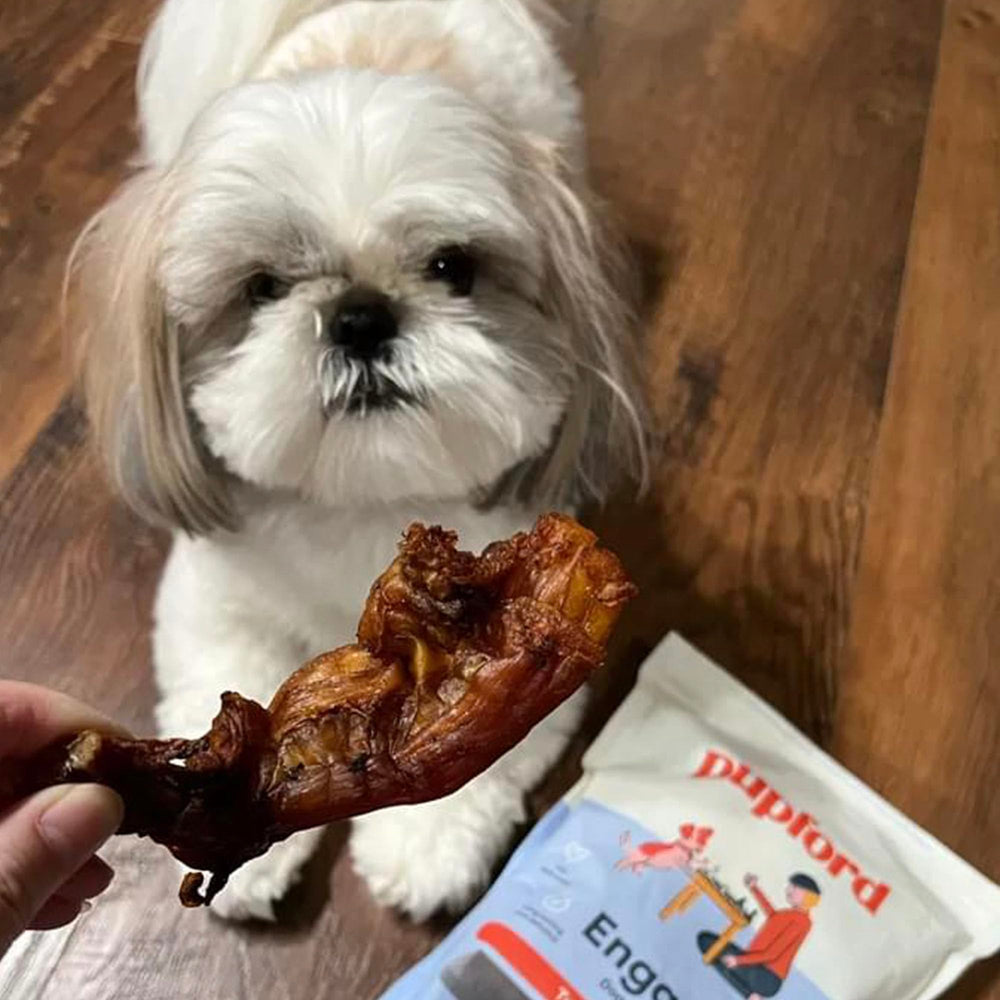 Pupford Turbo Beef Tendon Chews aid dental cleaning as dogs gnaw.
