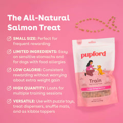 Pupford two-ingredient salmon treats close-up highlighting simple ingredients
