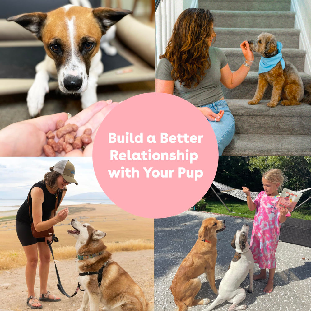Pupford variety of flavors to suit picky pups and motivate training