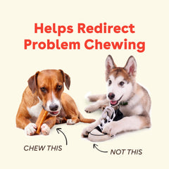 Pupford Yak Cheese Chews firm texture dental — long-lasting chew for tough chewers
