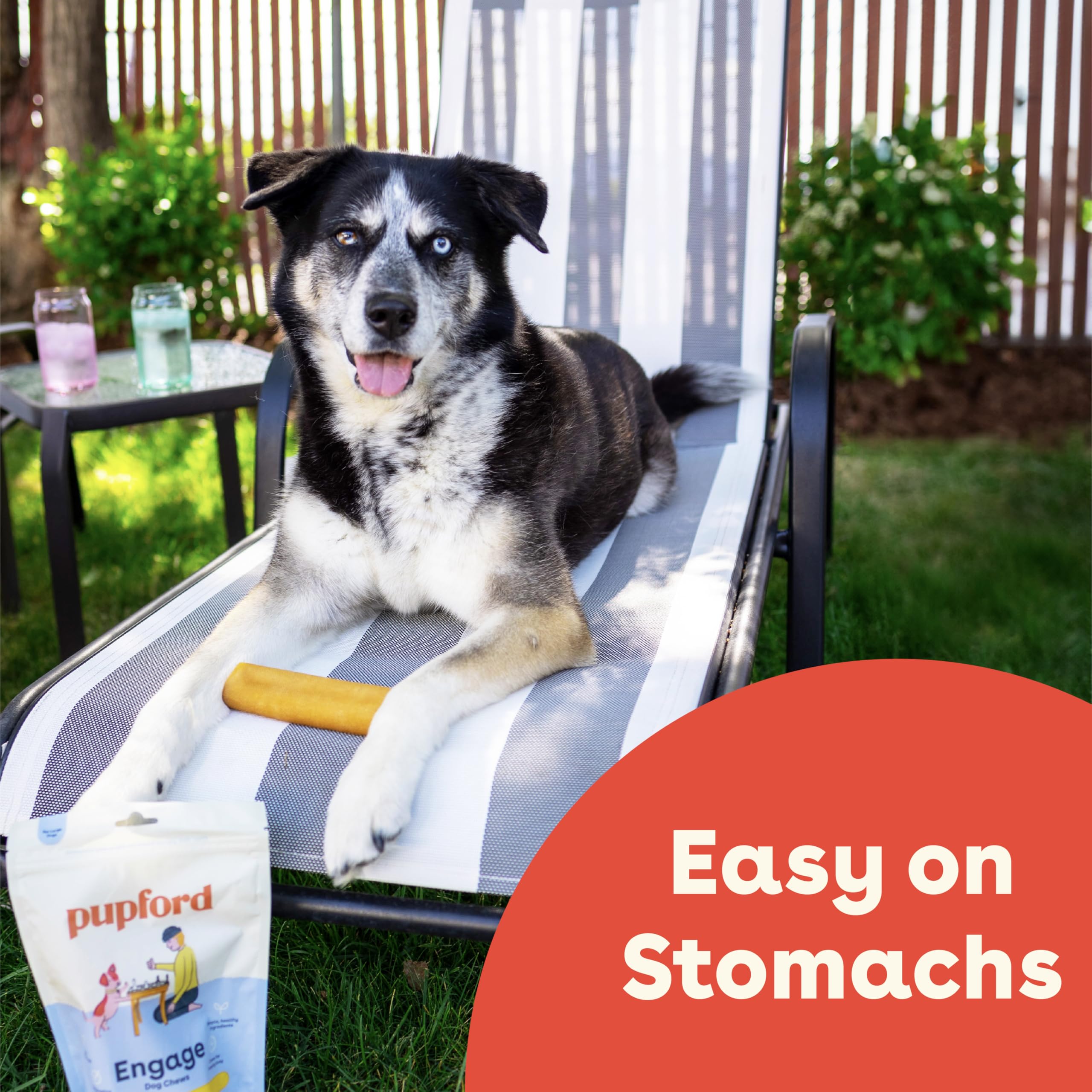 Pupford Yak Cheese Chews medium-dog-size fits medium breeds for consistent chew.