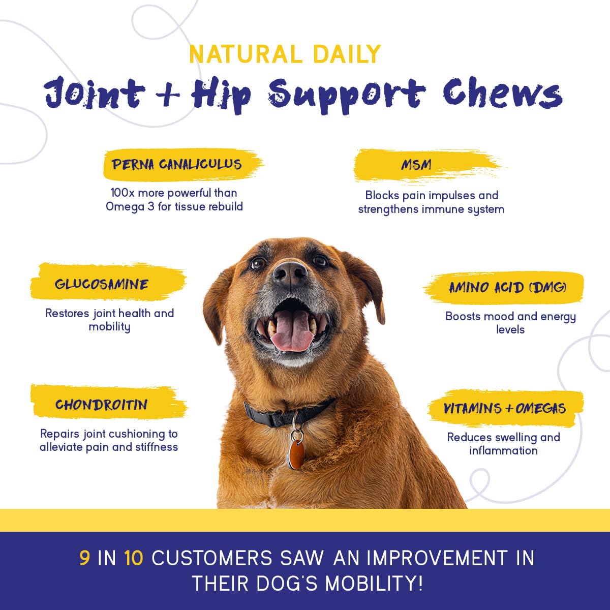 PupGrade bottle with chews conveys convenient, grain-free formulation for steady dosing.