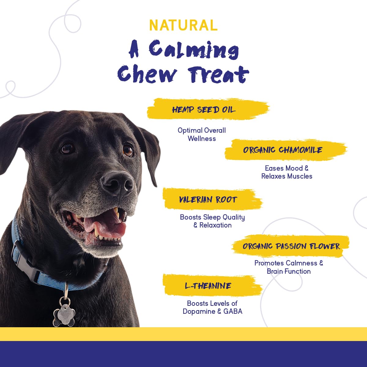 PupGrade Calming Soft Chews ingredients close-up highlights chamomile and valerian for calm mood.