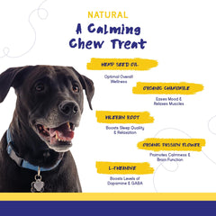 PupGrade Calming Soft Chews ingredients close-up highlights chamomile and valerian for calm mood.