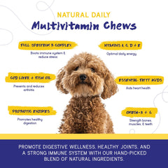 PupGrade Daily Multivitamin promotes healthy skin and coat for dogs