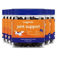 PupGrade joint-support chews beef-flavored close-up, may support dog mobility