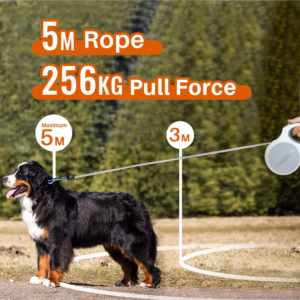 PUPIHOM leash with reflective stitching boosts visibility during early morning or night walks.
