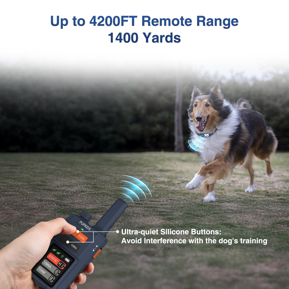 PUPKIDS dual-dog training system enables two-dog sessions with one remote.