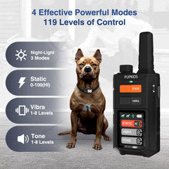 PUPKIDS long-range 4200ft collar in action for open-area recall sessions