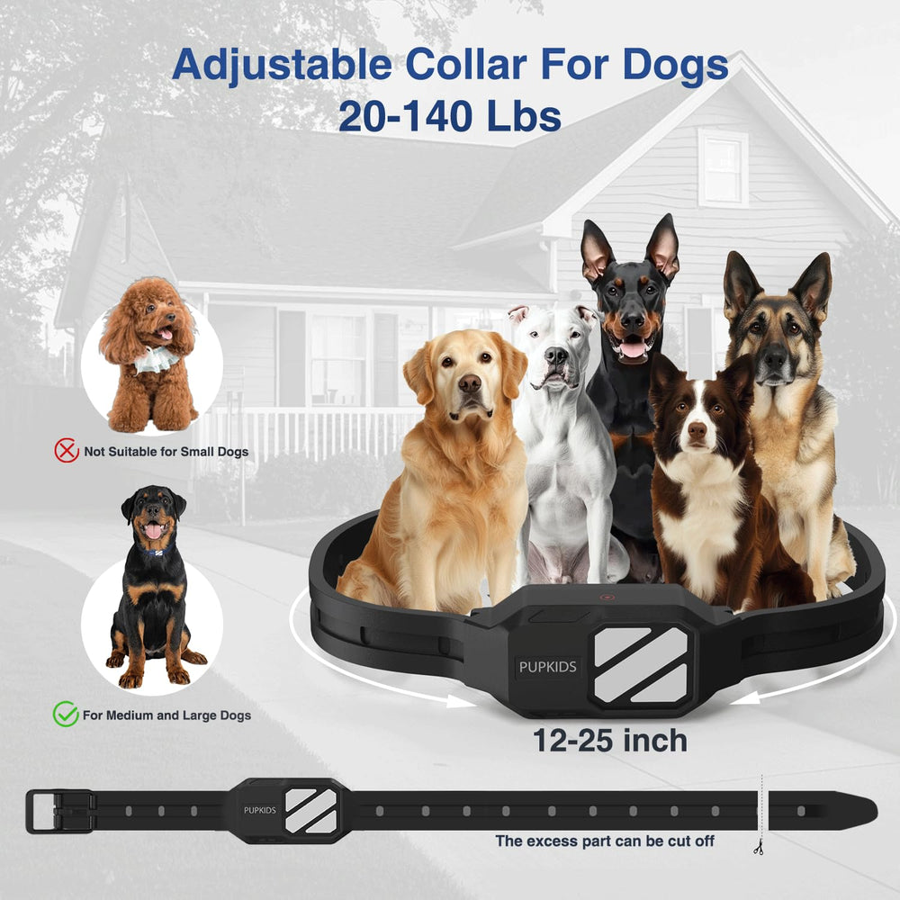 PUPKIDS night-light modes keep dogs visible during evening walks