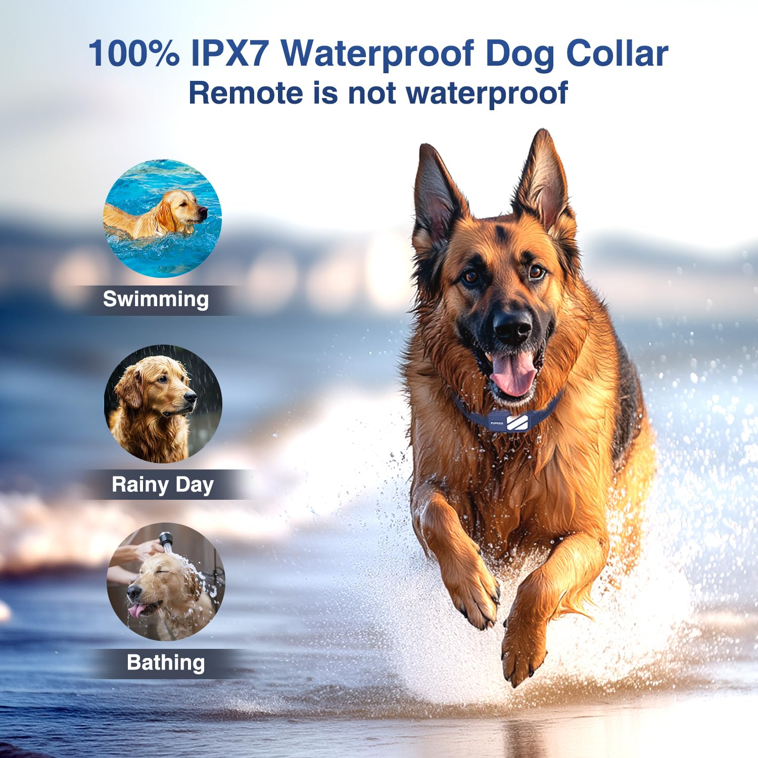 PUPKIDS night-vision LEDs keep dogs visible during evening adventures.
