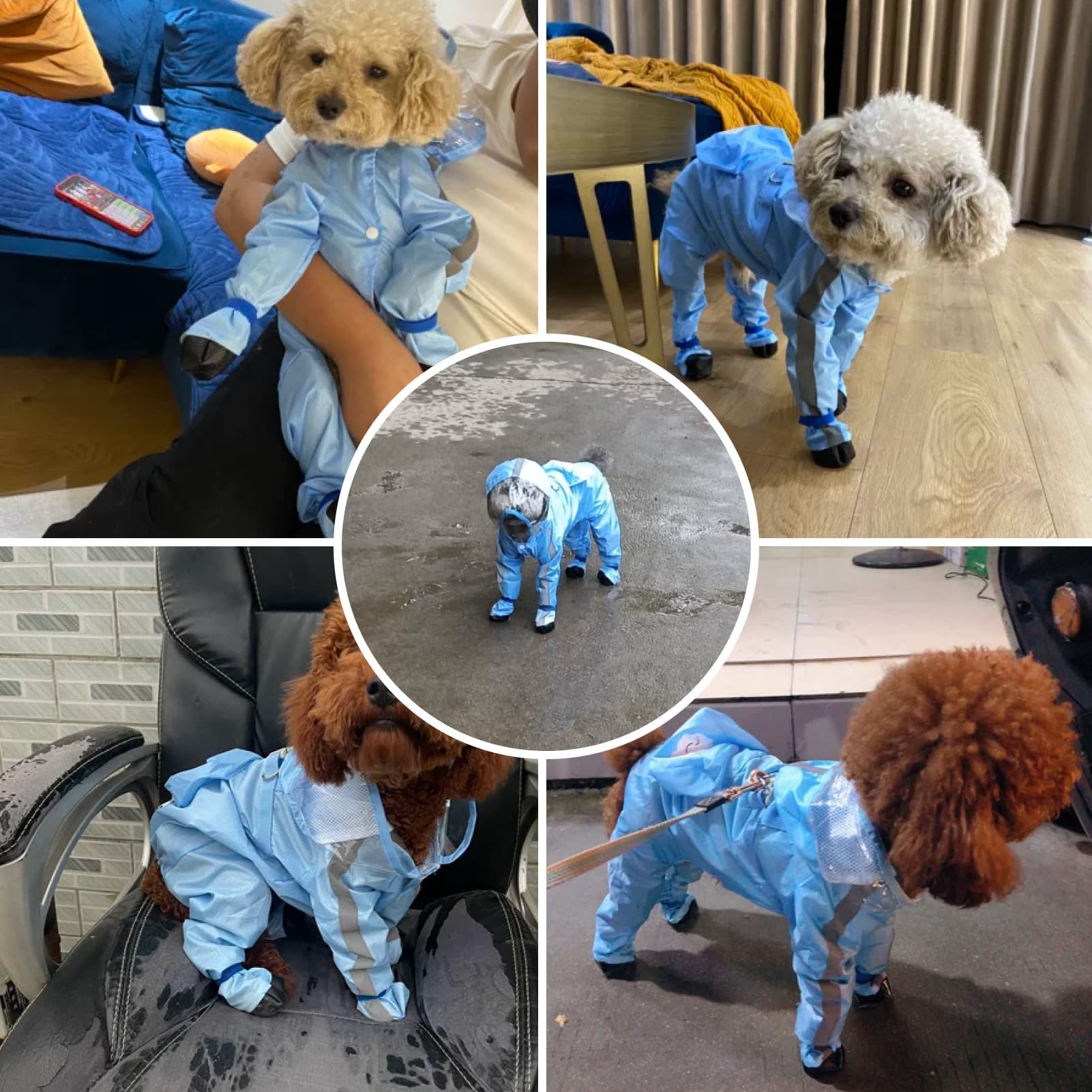 PupMist raincoat buckle closures and adjustable straps for secure fit